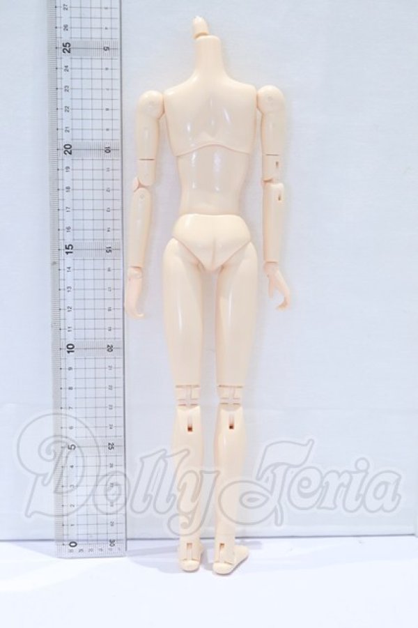 画像2: オビツ27ｃｍ/男性ボディ・スリムタイプ S-26-05-03-016-SK-ZS (2)