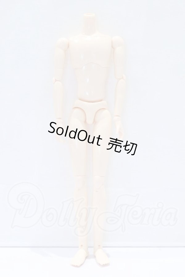 画像1: オビツ27ｃｍ/男性ボディ・スリムタイプ S-26-05-03-015-SK-ZS (1)