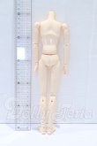 画像2: オビツ27ｃｍ/男性ボディ・スリムタイプ S-26-05-03-015-SK-ZS (2)