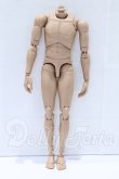 画像1: MX/1/6 男性素体 2014 2.0 関節強化Ver. S-26-05-03-013-SK-ZS (1)