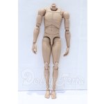 画像: MX/1/6 男性素体 2014 2.0 関節強化Ver. S-26-05-10-533-SK-ZS