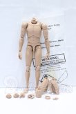 画像3: MX/1/6 男性素体 2014 2.0 関節強化Ver. S-26-05-03-013-SK-ZS (3)