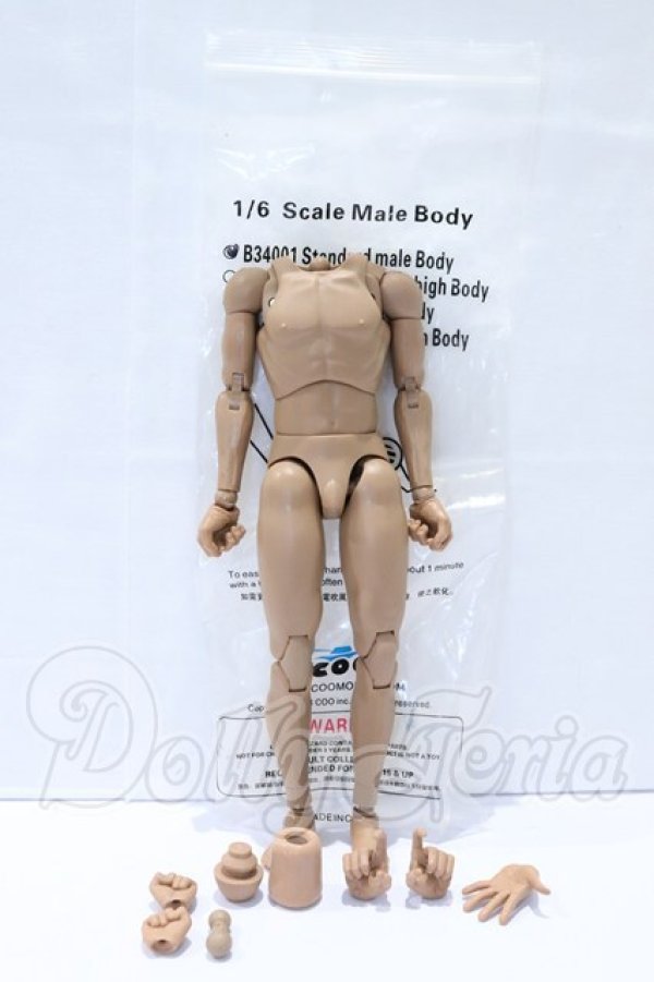 画像3: COOMODEL/1/6 ノーマル 男性素体 S-26-05-03-014-SK-ZS (3)