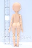 画像3: TinyFox/1/6 C-04ヘッド＋旧ボディ S-26-05-17-054-SK-ZS (3)