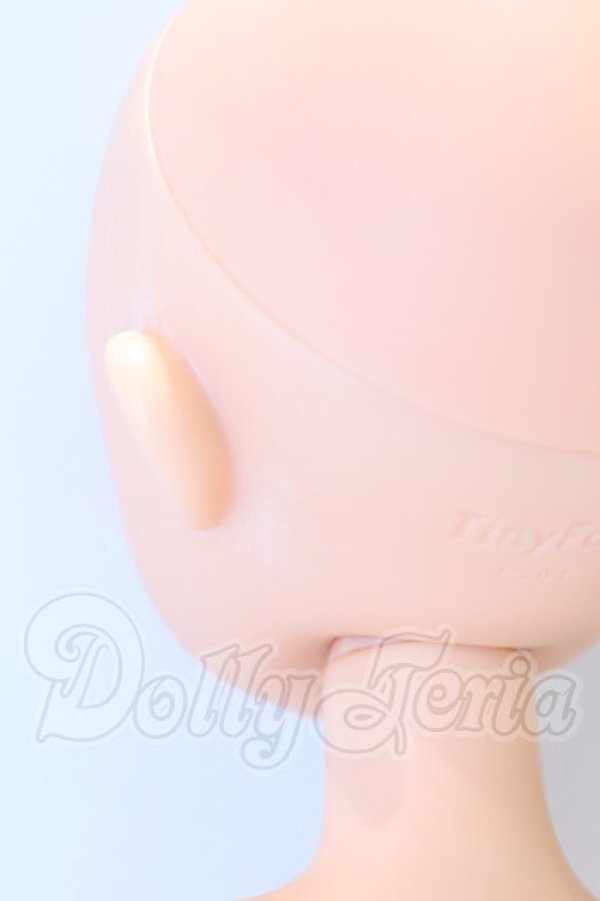 画像4: TinyFox/1/6 C-04ヘッド＋旧ボディ S-26-05-17-054-SK-ZS (4)