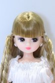 画像1: リカちゃん/2024年6月ハイエンドコレクションモデル モデルNo.13382 S-26-08-23-027-SK-ZS (1)