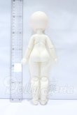 画像8: TinyFox/「ストロベリー」 メリアン【Meira】1/6スケールMJDドール フルセット  S-26-10-11-052-SK-ZS (8)
