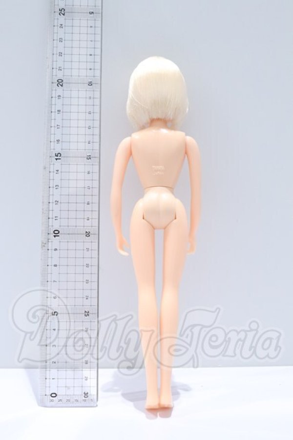 画像3: リカちゃんキャッスル/パレットF Sキャッスルコレクション -9 S-26-10-04-055-YB-ZS (3)