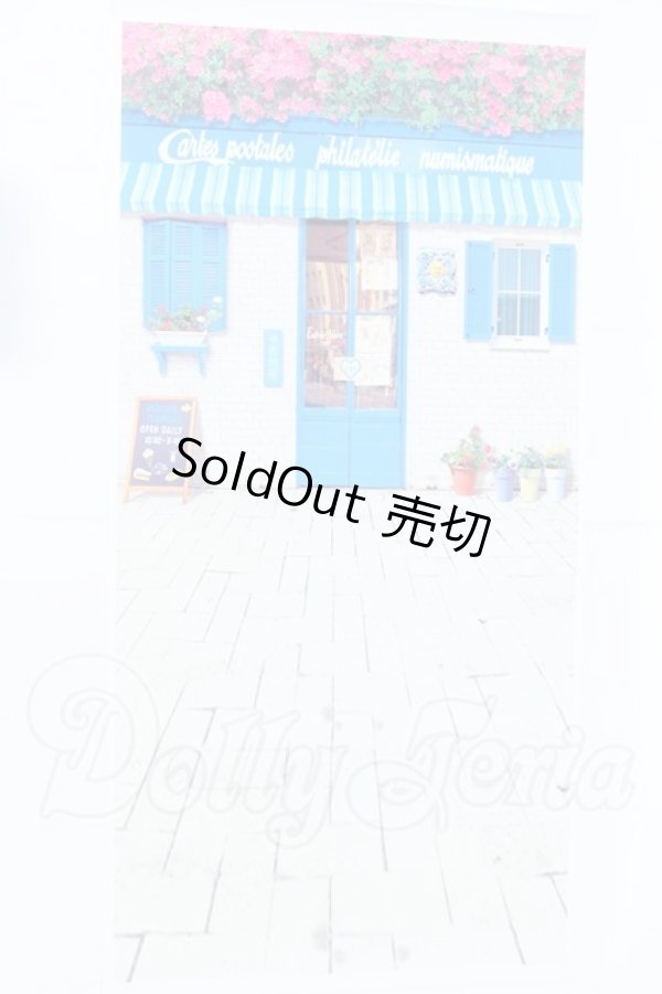 画像3: 背景布 S-26-07-05-072-SK-ZS (3)