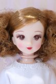 画像1: リカちゃん/もえちゃん S/キャッスルコレクション-11　モデルNo.12519-545 S-26-10-04-051-SK-ZS (1)