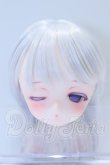 画像1: DD/DDH-01:カスタムヘッド(うぱたろー様) S-26-08-09-003-YB-ZS (1)
