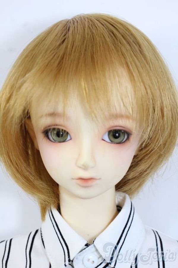 画像1: SDGrB/フルチョイスF-61 Y-25-08-20-093-YD-ZY (1)