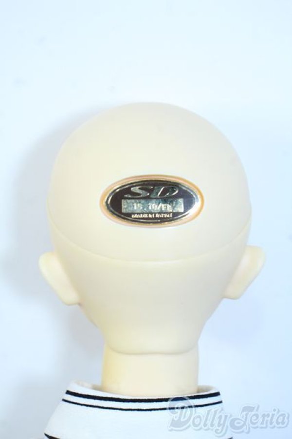 画像5: SDGrB/フルチョイスF-61 Y-25-08-20-093-YD-ZY (5)