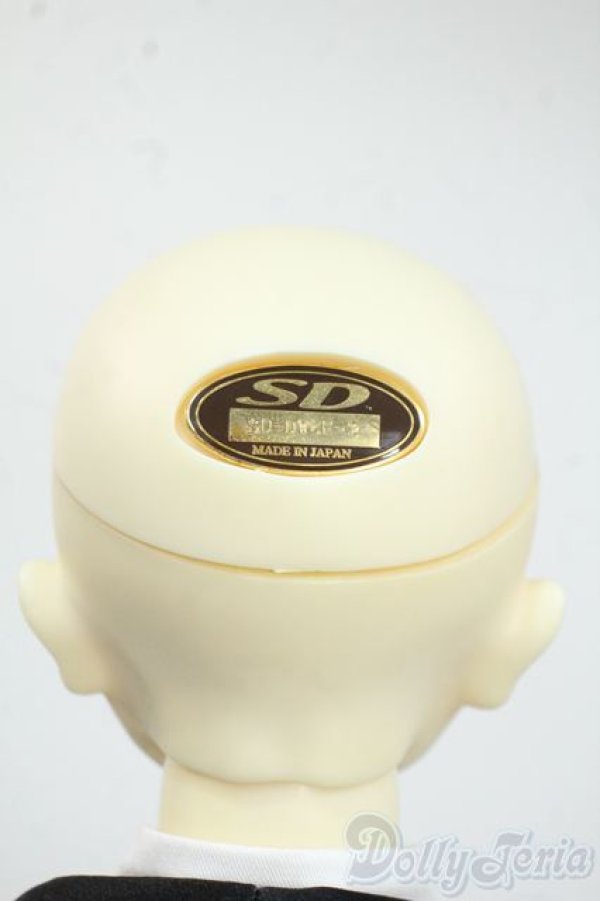 画像4: SD/DWC#02ヘッド+SDGrBボディ Y-25-08-20-092-YD-ZY (4)