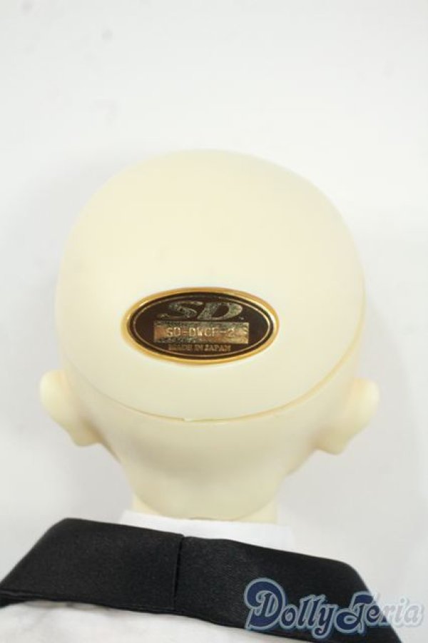 画像7: SD/DWC#02ヘッド+SDGrBボディ Y-25-08-20-092-YD-ZY (7)