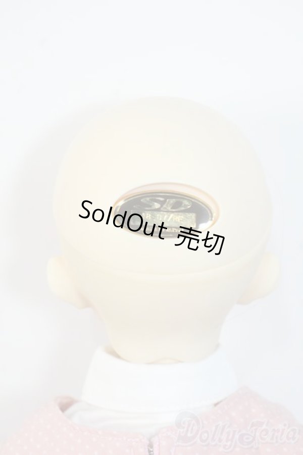 画像7: SDGIRL/メル：スタンダードモデル Y-25-08-13-262-YD-ZY (7)