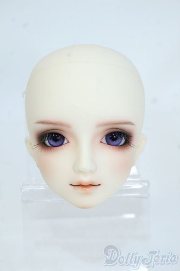 画像1: SD/フルチョイス：F-64ヘッドのみ Y-25-08-13-264-YD-ZY (1)