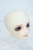 画像2: SD/フルチョイス：F-64ヘッドのみ Y-25-08-13-264-YD-ZY (2)