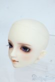 画像3: SD/フルチョイス：F-64ヘッドのみ Y-25-08-13-264-YD-ZY (3)