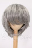 画像1: 8-9inch/ウィッグ I-26-05-28-177-KD-ZI (1)