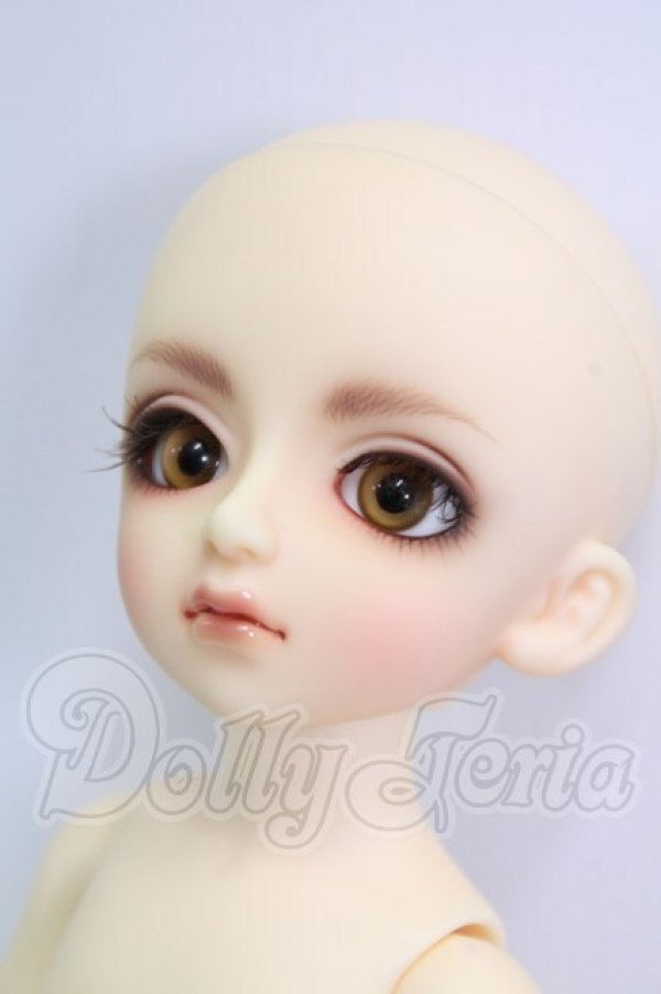 画像4: 幼ＳＤ/ピッコロ2ＮＤ I-26-04-30-062-KD-ZI (4)