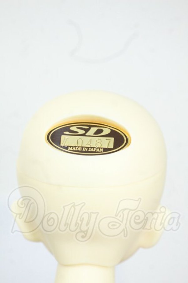 画像5: SDM/子天使白蓮 白雪ver. Y-26-04-29-260-WT-ZY (5)