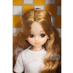 画像: リカちゃんキャッスル/リカちゃん Y-26-04-29-216-WT-ZY