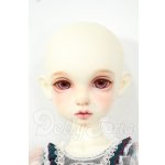 画像: Rosenlied/Thuesday's Child Rosee - Dear rose Y-26-06-23-080-WT-ZY