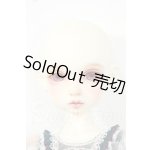 画像: Rosenlied/Thuesday's Child Rosee - Dear rose Y-26-06-23-080-WT-ZY