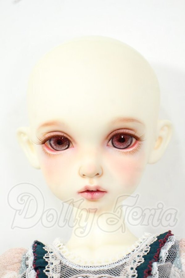 画像1: Rosenlied/Thuesday's Child Rosee - Dear rose Y-26-06-23-080-WT-ZY (1)
