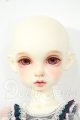 画像: Rosenlied/Thuesday's Child Rosee - Dear rose Y-26-06-23-080-WT-ZY
