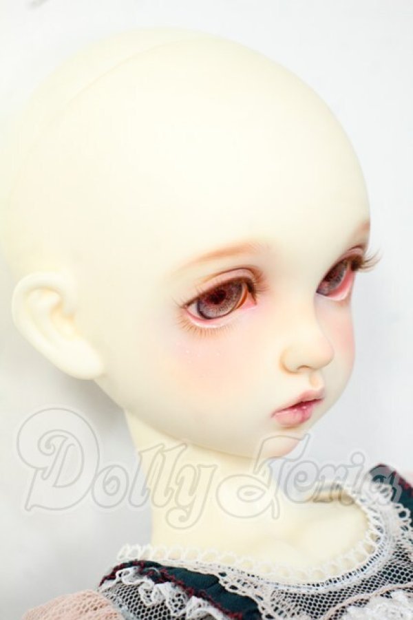 画像2: Rosenlied/Thuesday's Child Rosee - Dear rose Y-26-06-23-080-WT-ZY (2)