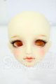 画像: SD/DWC♯02ヘッド:ファニラボ様メイク Y-26-06-23-030-WT-ZY