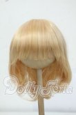 画像1: 8-9inch/ウィッグ Y-26-06-30-028-WT-ZY (1)