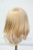 画像2: 8-9inch/ウィッグ Y-26-06-30-028-WT-ZY (2)