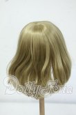 画像2: 8-9inch/ウィッグ Y-26-06-30-031-WT-ZY (2)