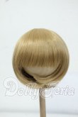 画像1: 8-9inch/ウィッグ Y-26-06-30-029-WT-ZY (1)