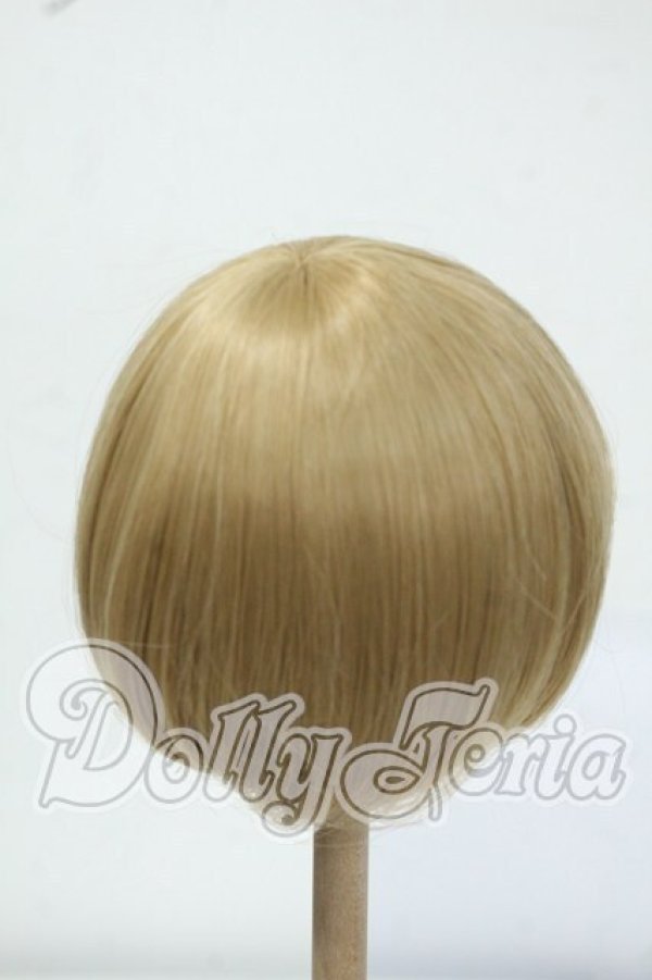 画像2: 8-9inch/ウィッグ Y-26-06-30-029-WT-ZY (2)