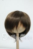 画像1: 8-9inch/ウィッグ Y-26-06-30-037-WT-ZY (1)
