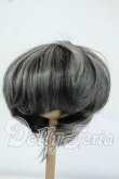 画像1: 8-9inch/ウィッグ Y-26-06-30-034-WT-ZY (1)
