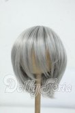 画像1: 8-9inch/ウィッグ Y-26-06-30-035-WT-ZY (1)