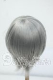 画像2: 8-9inch/ウィッグ Y-26-06-30-035-WT-ZY (2)