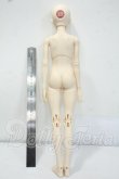 画像6: CharmDoll/Halson Y-26-07-21-142-WT-ZY (6)