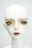 画像1: dollzone/Gray Y-26-07-21-143-WT-ZY (1)
