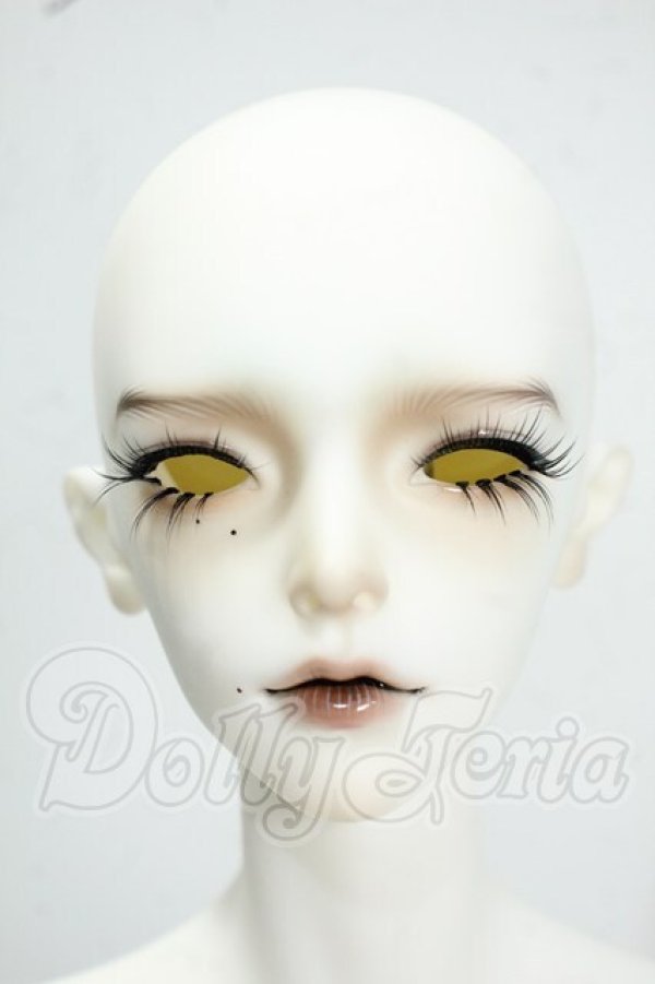 画像1: dollzone/Gray Y-26-07-21-143-WT-ZY (1)