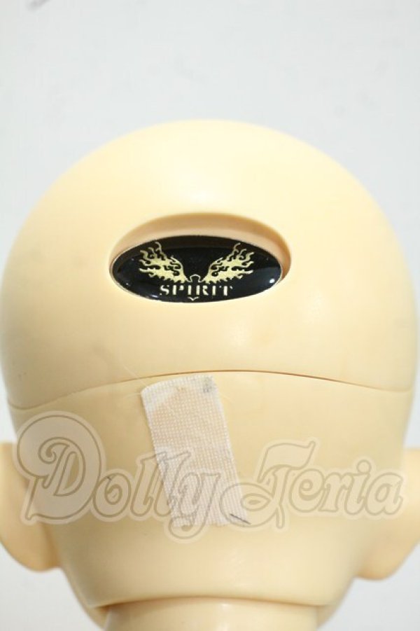 画像5: SPIRIT DOLL/Gardenia Y-26-07-28-110-WT-ZY (5)