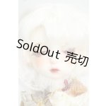 画像: GEM OF DOLL/ARIES(B.Leg of Lamb) Fullset Y-26-07-28-112-WT-ZY