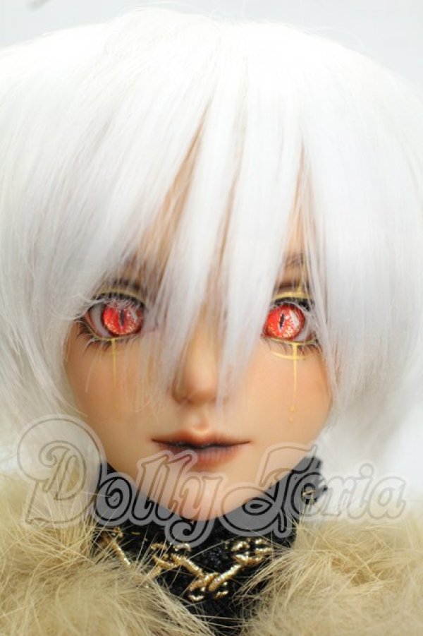画像1: GEM OF DOLL/Carlos Animal Ver. Fullset Y-26-07-28-111-WT-ZY (1)