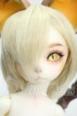 画像1: Dream Valley/Logical Paradox Zhao Y-26-07-28-106-WT-ZY (1)