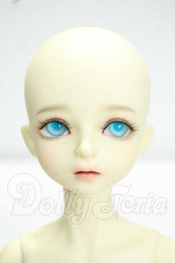 画像1: Myou Doll/1/4 ZUZANA Y-26-10-13-350-WA-ZY (1)